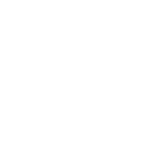 California State University logo